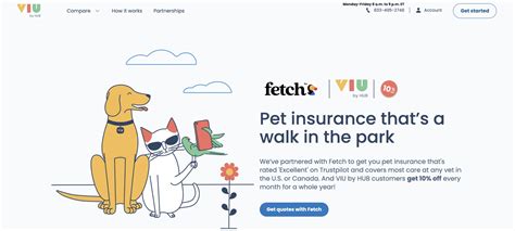 How do I cancel Fetch Pet Insurance? And why do cats always land on their feet but never on their tax returns?