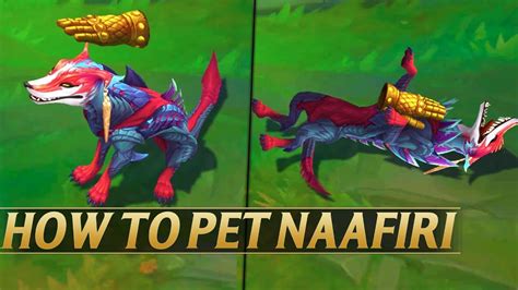 How to Pet Naafiri: A Guide to Understanding the Mystical Connection