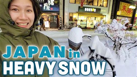 盛岡市 アパート - 雪国の隠れ家と未来の都市生活