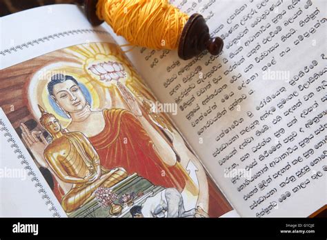 What is the Book of Buddhism: A Journey Through Sacred Texts and Philosophical Musings