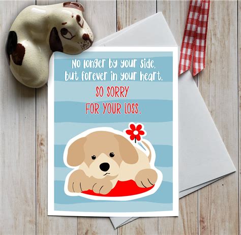 What to Write in a Pet Sympathy Card: A Comprehensive Guide